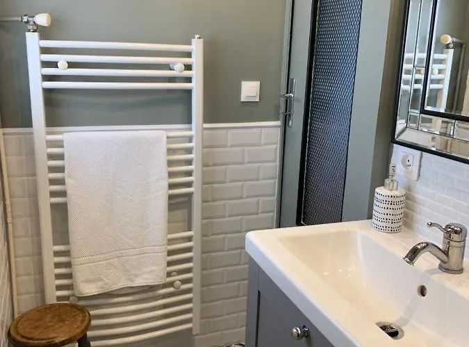 La Maison Cattleya * Le Mans